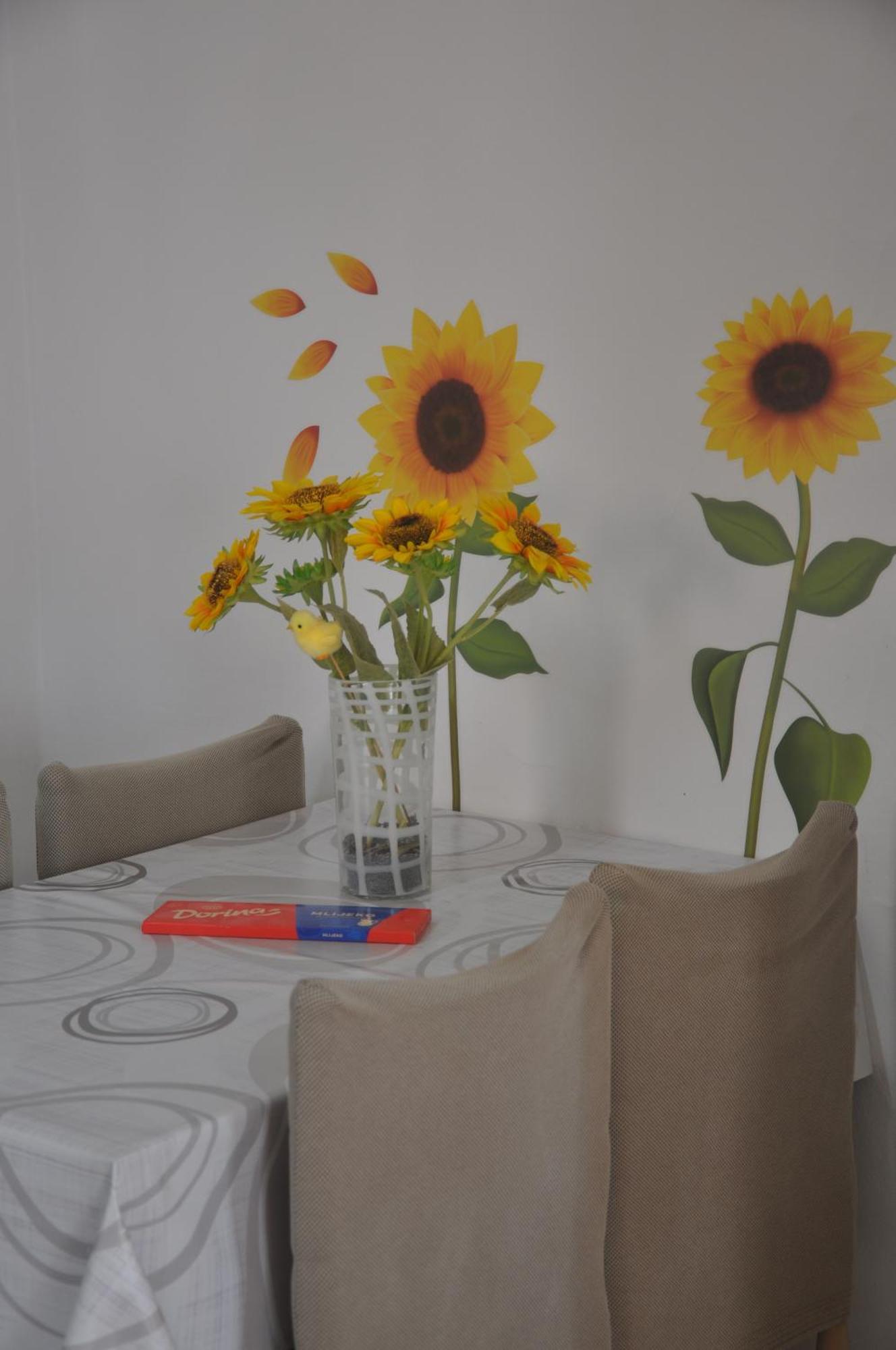 Apartman Mirna Ровінь Екстер'єр фото
